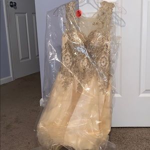 quinceñera/ sweet 16 dress